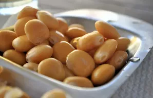 Portuguese Tremoços (Lupini Beans) Recipe