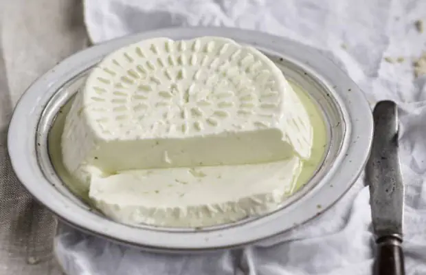 Delicious Portuguese Fresh White Cheese Recipe